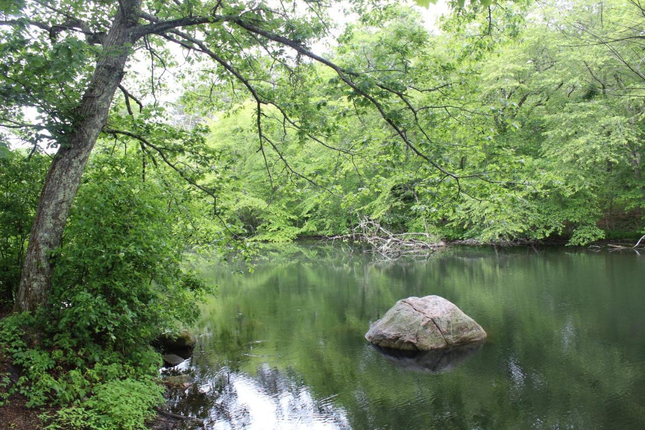 Herring Run Борн Экстерьер фото