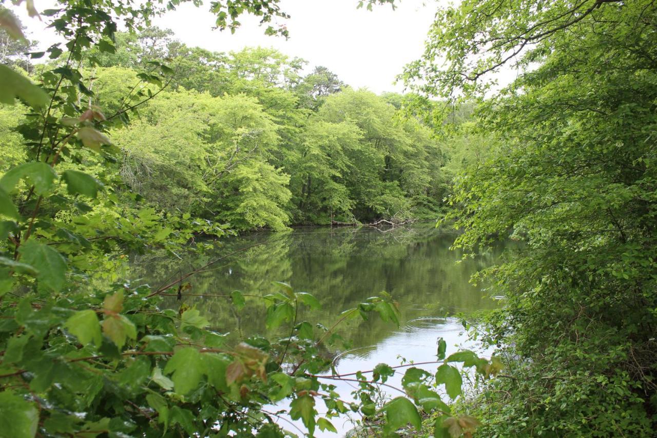 Herring Run Борн Экстерьер фото
