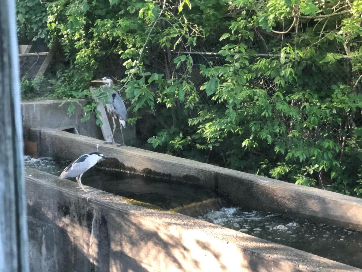 Herring Run Борн Экстерьер фото