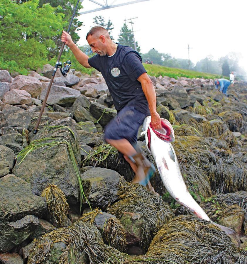 Herring Run Борн Экстерьер фото