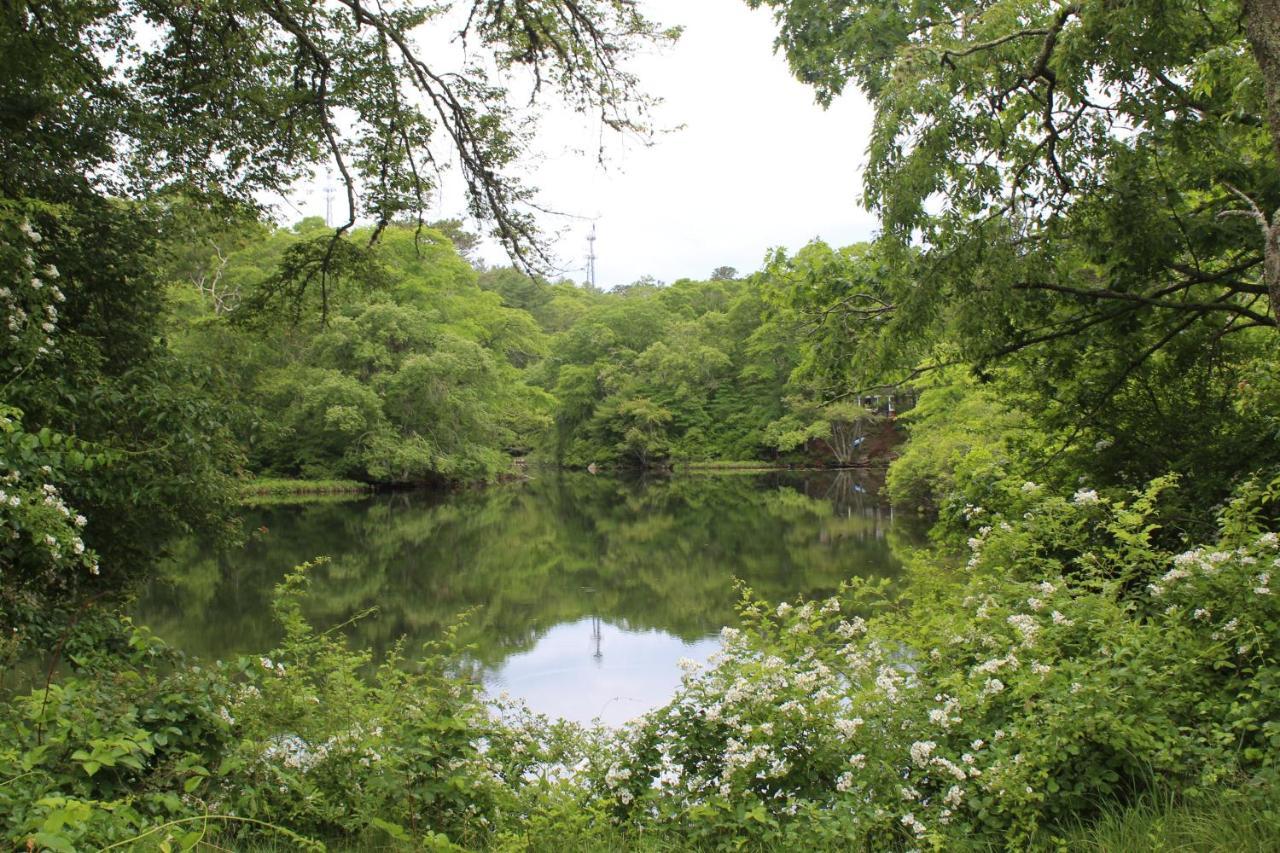 Herring Run Борн Экстерьер фото