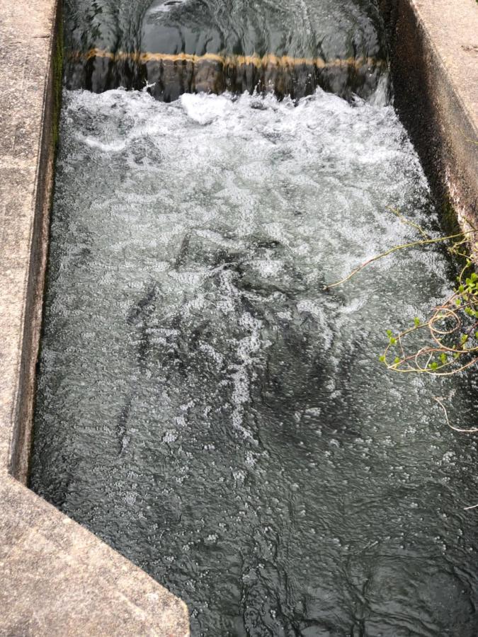 Herring Run Борн Экстерьер фото